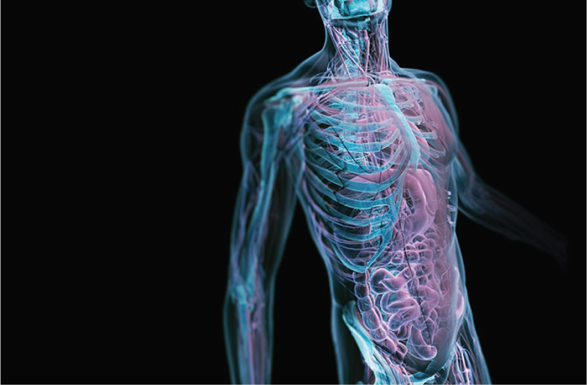 Химия в теле человека. Обезвоженный организм. Фон для презентации анатомия человека. 0 human